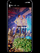 Vorschaubild fzey für Berlin Cuisine - animiertes GIF für Ansichten Website mobile