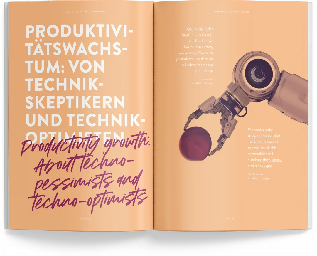 fzey für IWH 2017-2019 - Ansicht 3 zu Report Dossier