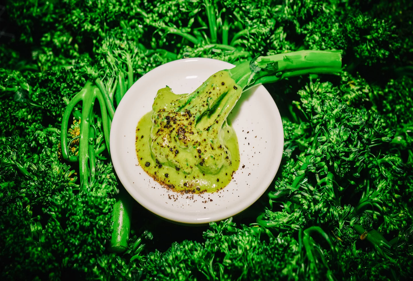 fzey für Berlin Cuisine - Fotografie für vegetarisches Catering