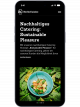 Vorschaubild fzey für Berlin Cuisine - Ansicht Website mobile